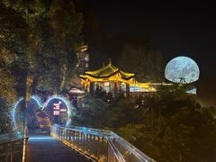 -巴倒烫陆派火锅山庄(南山总店)