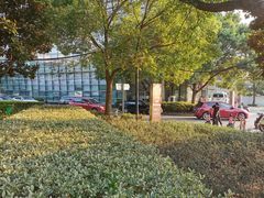 -上海中医药大学附属曙光医院(东部)