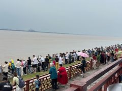 -观潮胜地公园