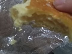 -蒲公英(五里店)