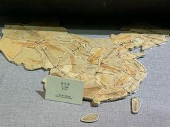 -烟台自然博物馆