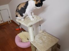 -达爱动物医院·犬猫分区·CT·复杂眼科(远洋山水分院)