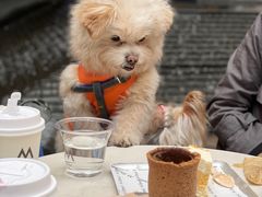 -M Stand(BFC外滩金融中心店)