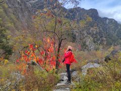 -叠溪松坪沟景区
