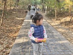 -紫金山山顶公园