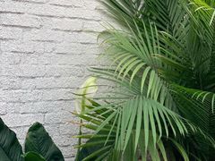 -浮何烤铺(桐梓林店)