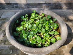 -西安化觉巷清真大寺