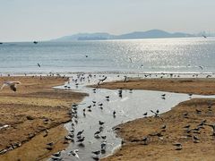 -青岛第一海水浴场