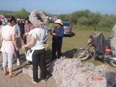 -塞罕坝国家级自然保护区