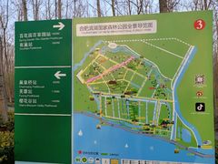 -合肥滨湖国家森林公园