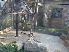 -苏州上方山国家森林公园