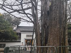 -西湖风景区十里琅珰-五云山