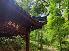 -东明山森林公园