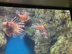-福州罗源湾海洋世界旅游区