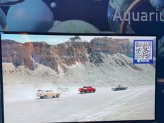 -Z+KTV自由港PLUS(仲盛店)