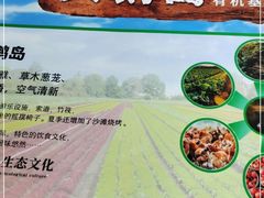 -大鹅岛绿色生态美食园