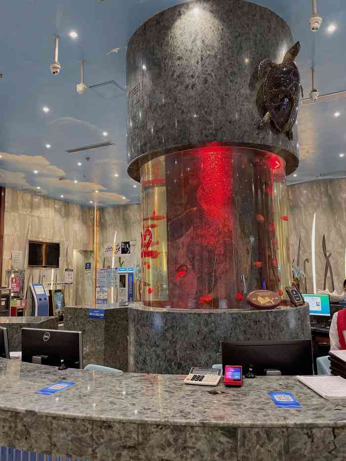 中潜潜水世界-"干净舒服,服务好,自从来了这,就不去南山.