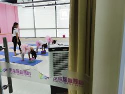 -WUDAOJ舞蹈工作室