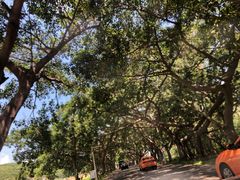 -一嗨租车(凤凰机场店)