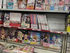 -秋叶原电器街