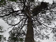 -北京上方山国家森林公园