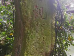 -杭州黄龙洞
