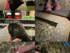 -明谷行馆·温泉