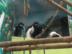 -石家庄市动物园