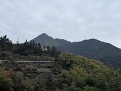-杨家堂村