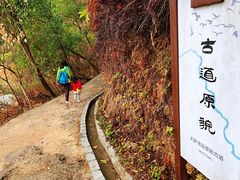 -羚羊峡古栈道森林公园