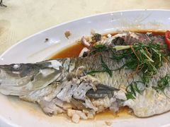 山涧鲩鱼-茗荔园农庄(大涌店)