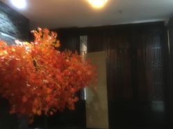 点击看大图 -盘子女人坊古装写真摄影(厦门总店)