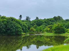 -福建鲤鱼洲酒店