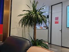 -牙博士口腔品牌连锁(杨浦店)