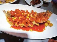 -姑苏家宴·苏帮菜·松鼠桂鱼(苏州总店)