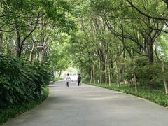 -长广溪湿地公园