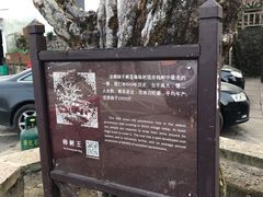 -丹山赤水风景名胜区
