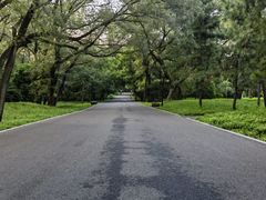 -北陵公园