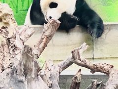 -天津市动物园