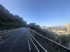 -福道