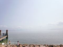 -宝安西湾红树林湿地公园