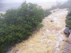 -黄龙山原始森林景区