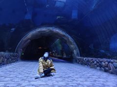 -华夏文旅海洋公园