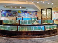 水产区-国龙大酒店-中餐厅