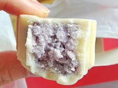 狮子门墩-北京稻香村(零号店)