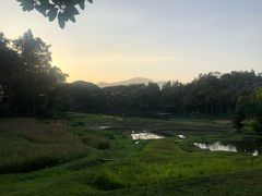 -四季酒店下午茶