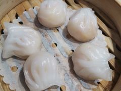 -满福隆酒楼(万绿园店)