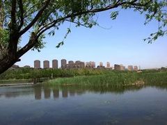 -前关湿地公园