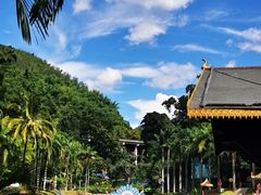 -西双版纳原始森林公园