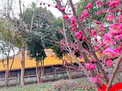 -宝通禅寺